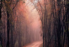 2012年NBA总决赛G5全场发生了什么？经典回放带你重温巅峰对决